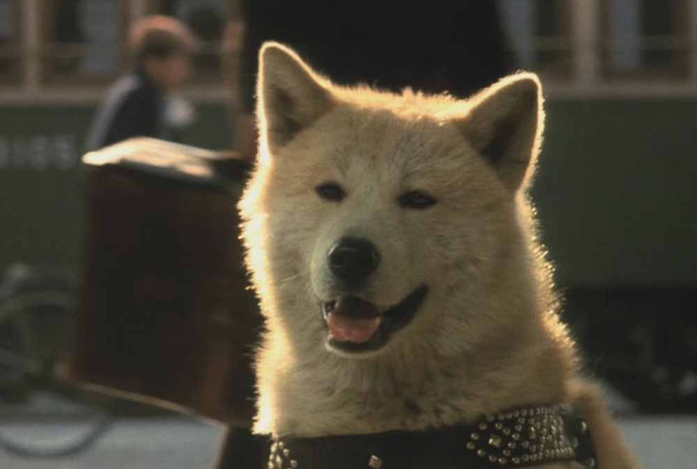 Hachiko Monogatari